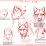 Wolf drawing tutorial