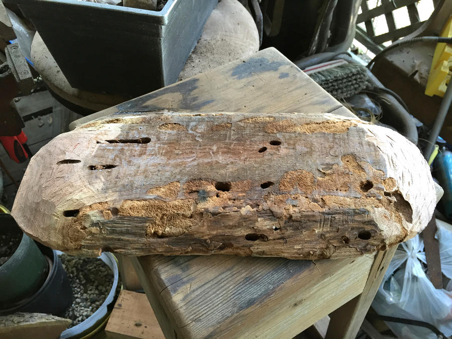 Oval Tray Wip Unsanded Bottom