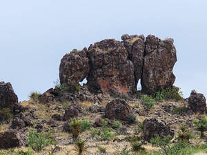 Elephant Rock