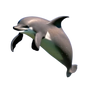 Alien Dolphin