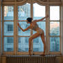 Window tendu