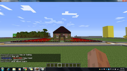 Minecraft Screen Shot2