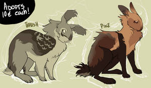 June rabbit adopts (CLOSED!)