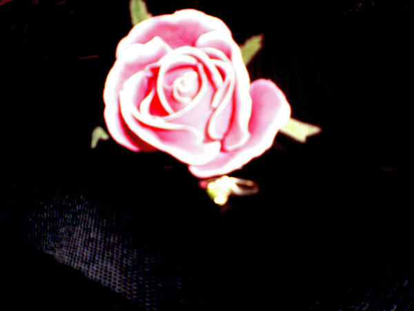 Pink Rose by Sagestar on DeviantArt