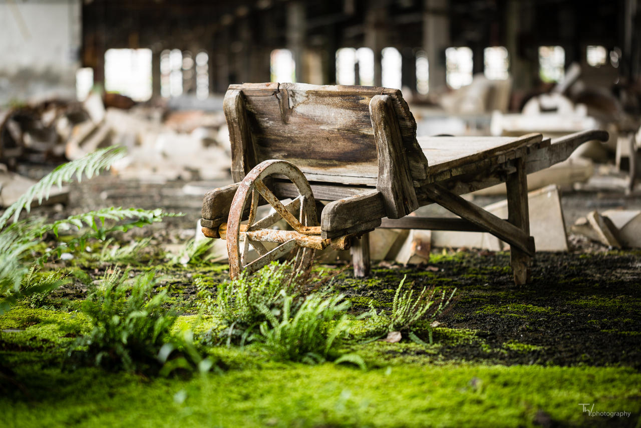 ~ the old plodder ~ by twindisch on DeviantArt