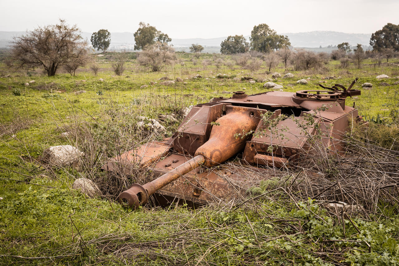 ~ dug in ~ by twindisch on DeviantArt