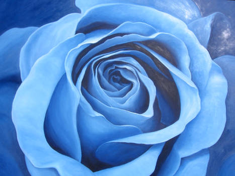 Big Blue Rose