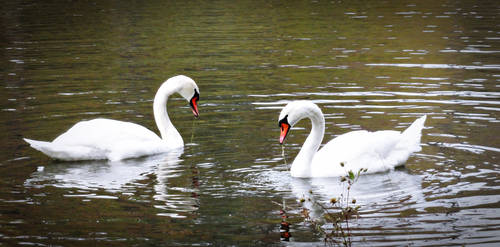 Beautiful couple