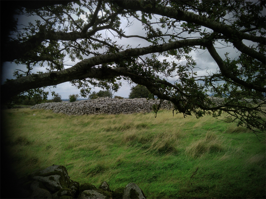 Hill Fort