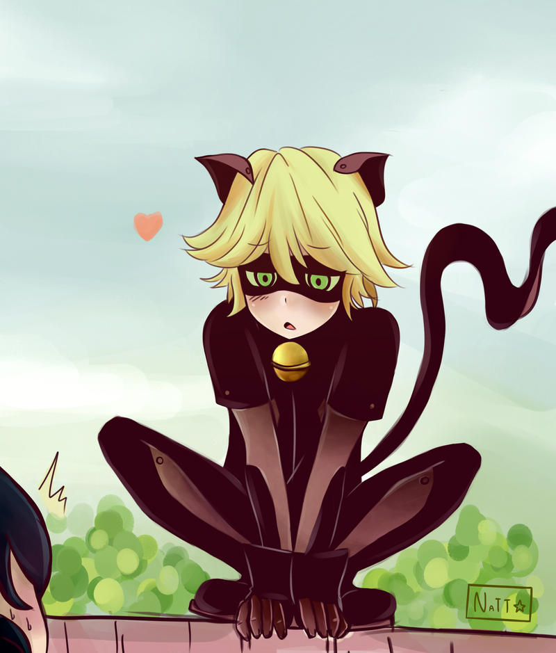 Chat Noir Y Marinette By Nataly2 On Deviantart Chat Noir Y Marinette By Nataly2 On Deviantart