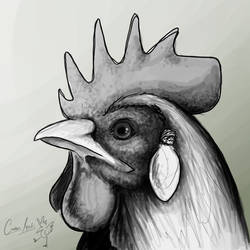 Rooster Speed Paint