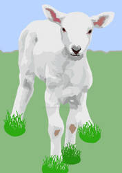 Lamb