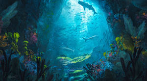 Underwater 2