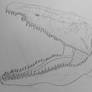 Baryonyx head sketch