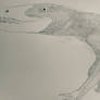 Dimorphodon finished