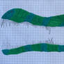 Crocodile i did in biology