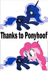 Ponyhoof