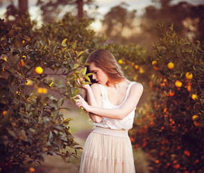 Andrea and the Orange Tree