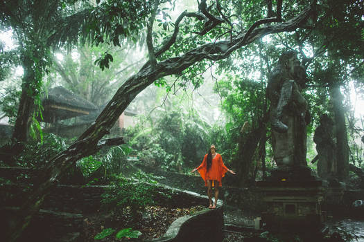 monkey forest, ubud