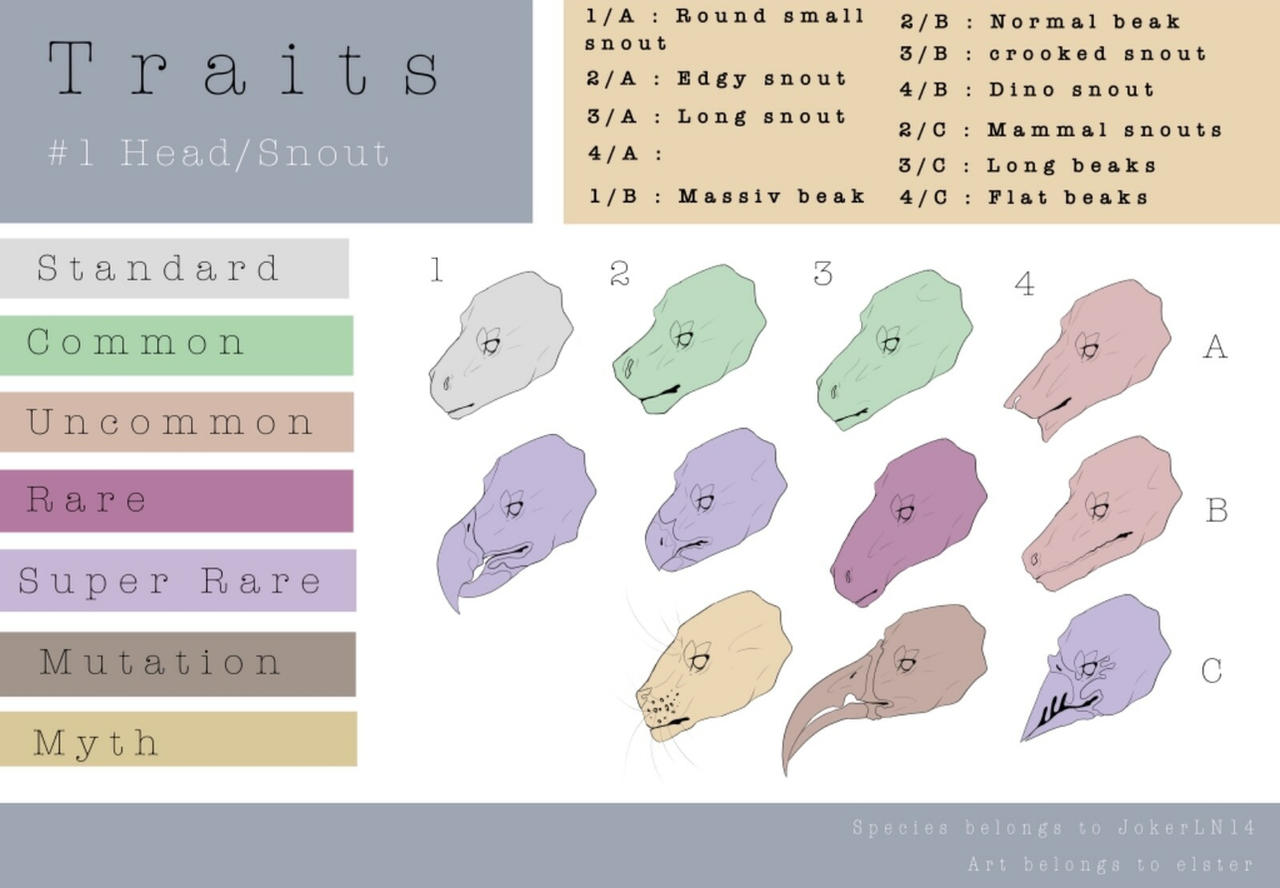 Short Snout Example Snout/Head Trait Examples! by RakuruMasterlist on DeviantArt
