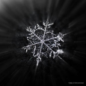 The Big Snowflake