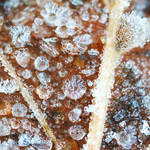 When Autumn Meets Winter by nnIKOO