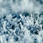 Ice Crystals by nnIKOO