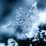 The Snowflake by nnIKOO