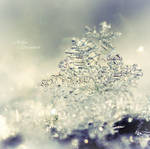 Mysterious Snowflake by nnIKOO