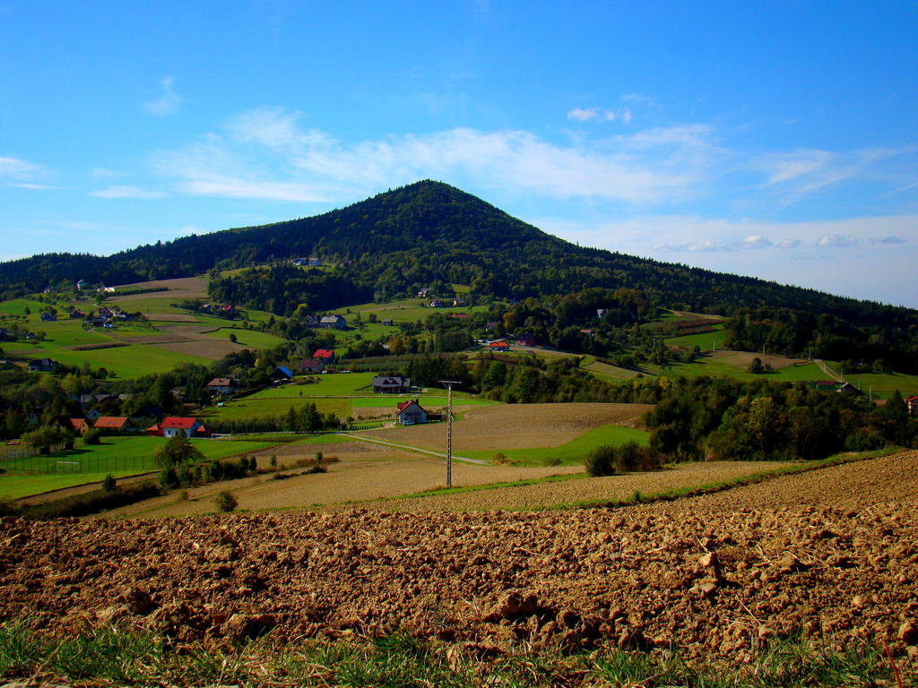 Kostrza