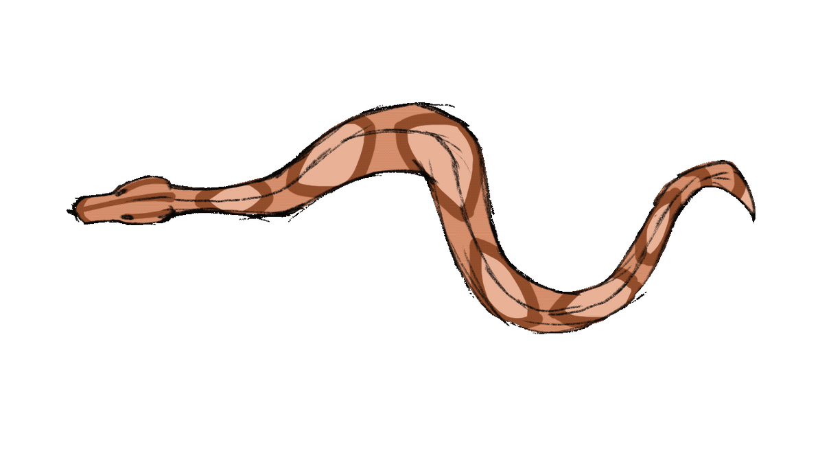 Snake Slithering Gif By FeatheredDreams1011 On DeviantArt snake-slithering-gif-by-feathereddreams1011-on-deviantart