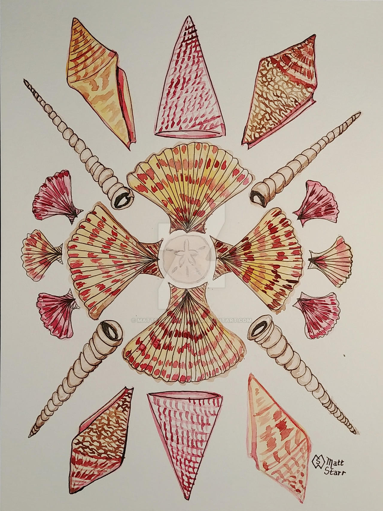 Seashell Mandala by mattstarrfineart on DeviantArt