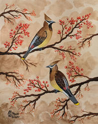 Cedar waxwings perched in a tree