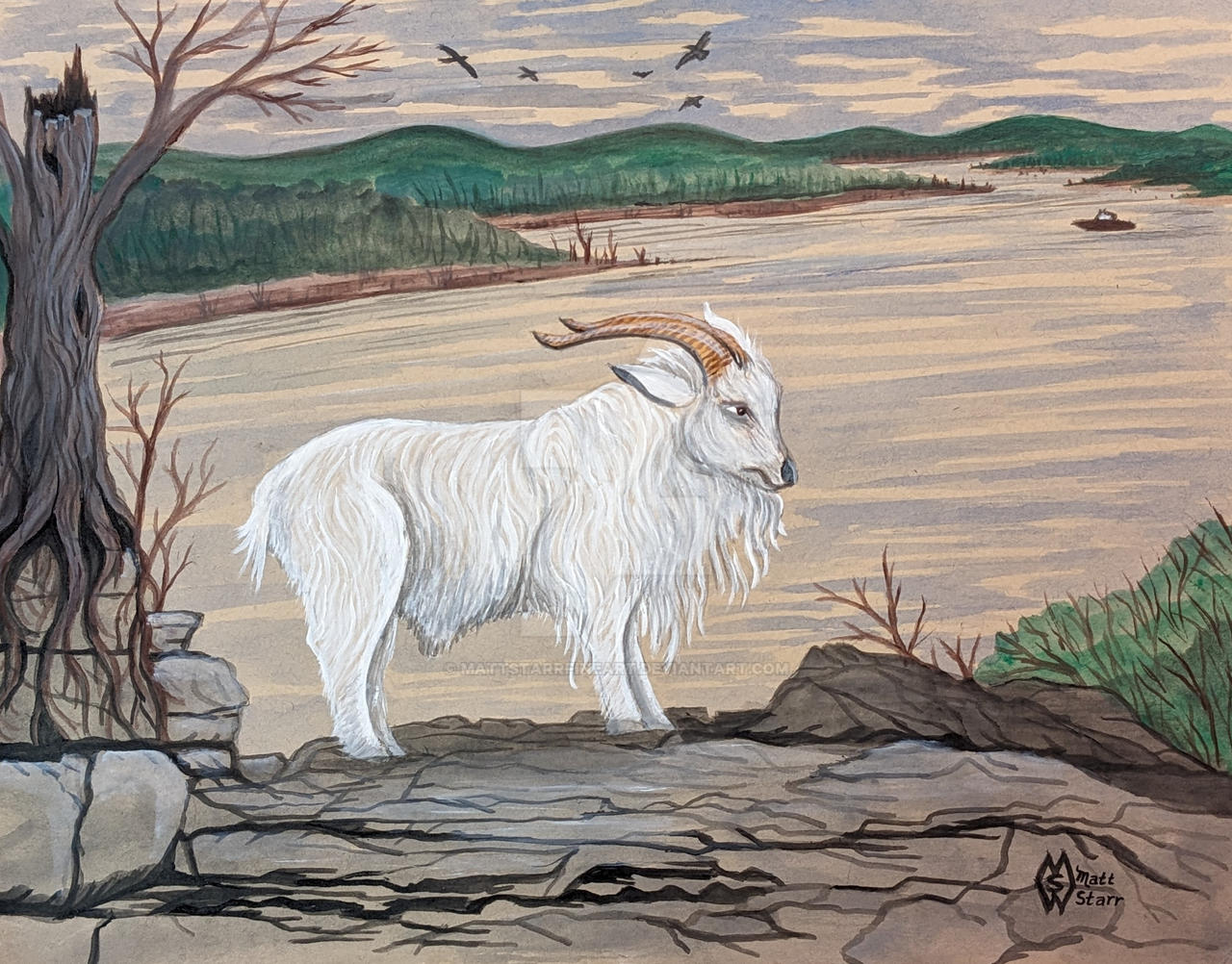 Alake Goat The legend of Crisco the Table Rock Lake goat by mattstarrfineart on ...