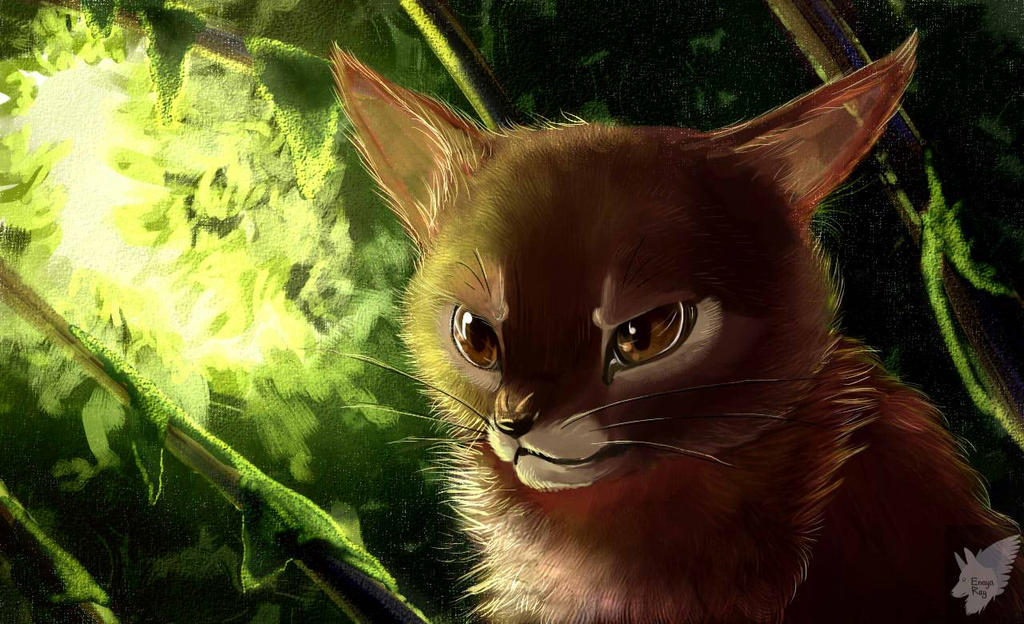 Foxbear Foxbear by EnayaRay on DeviantArt