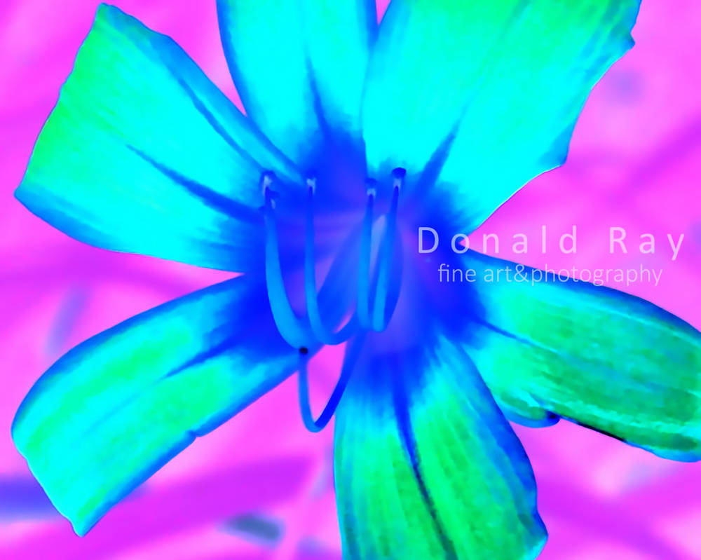 Altered Reality - Copy - Copy - Copy - Copy by DonaldRayArt on DeviantArt