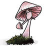 Pink pixie mushroom