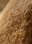 Cuneiform by FurLined