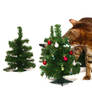 Bengal and Mini Christmas Tree Stock 1