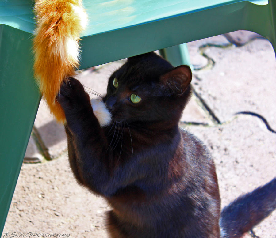 Wait a minute.. This isn't my trumpet!