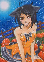 KAKAO Card No 40 Pumpkins Field