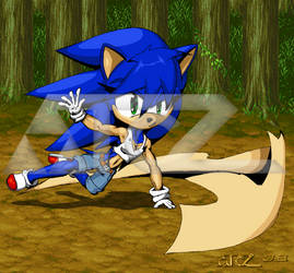 Sara 'swift' the Hedgehog