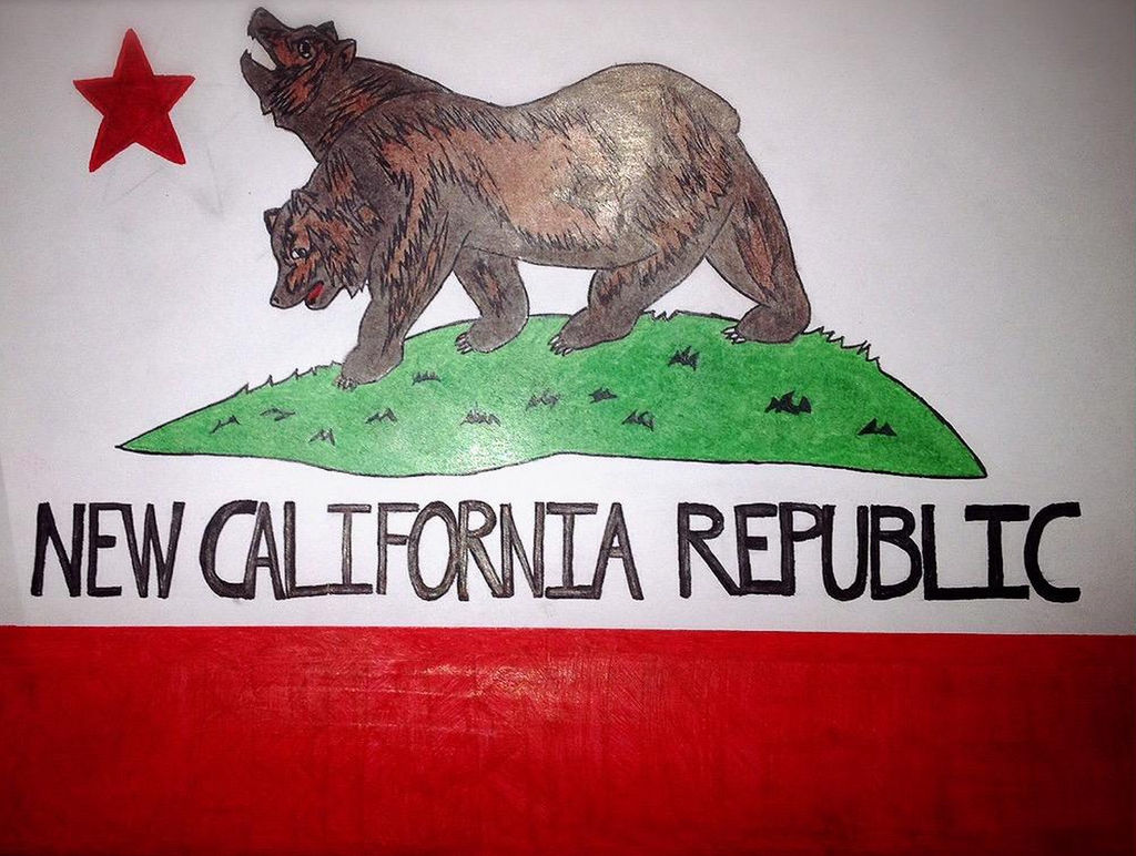 Ncr Flag Free Hand By Miiowskii On Deviantart Ncr Flag Free Hand By Miiowskii On Deviantart