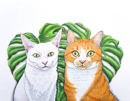 Monstera Cats