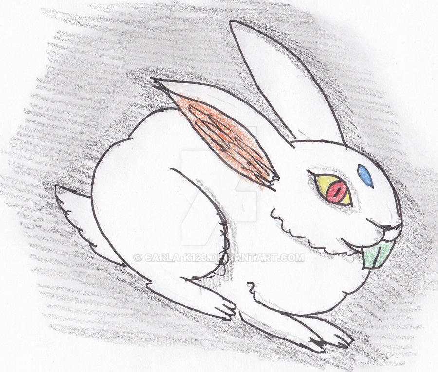 Hopper the rabbit by carla-k123 on DeviantArt