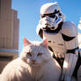 Cat Trooper