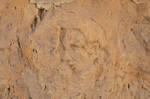 Stone Portrait