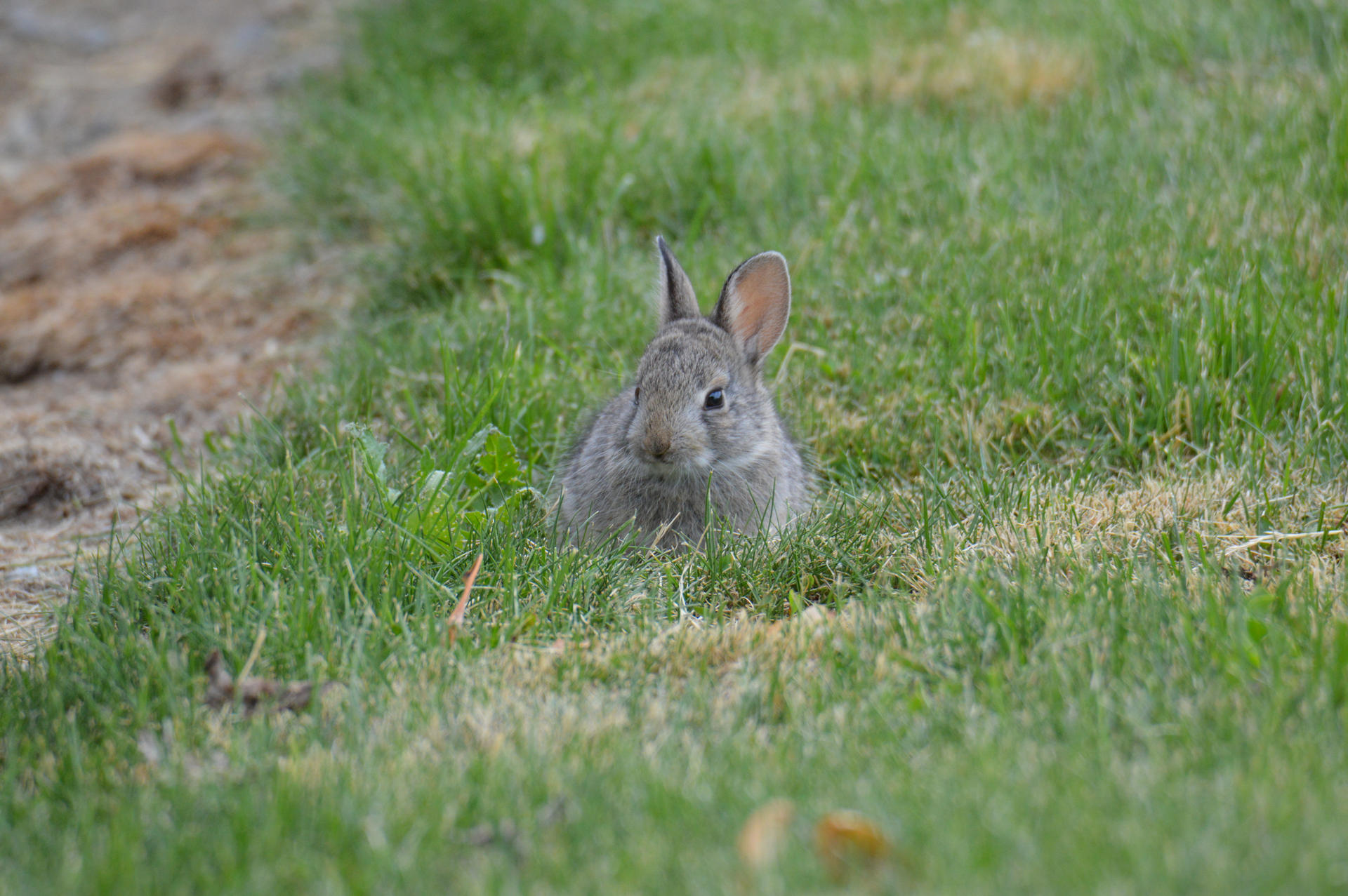 Adventurous (little) One