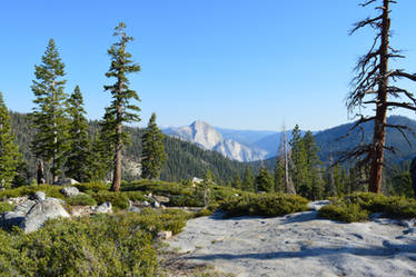 Distant Half Dome