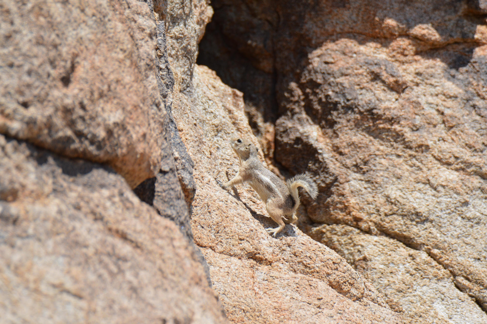 Venturing Even Higher